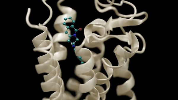 Sample content thumbnail